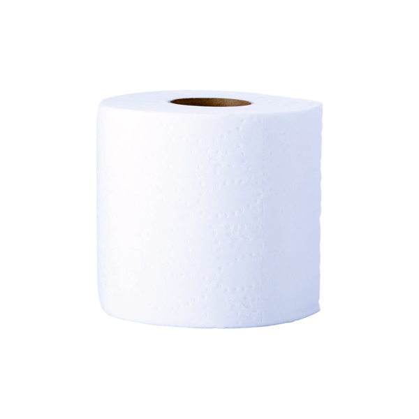 MELODY TOILET PAPER 24/4CT